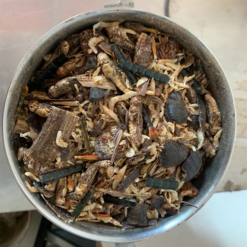 黄缘龟专用虫粉 闭壳龟箱龟半水龟发色补钙昆虫饲料 手工安全磨粉