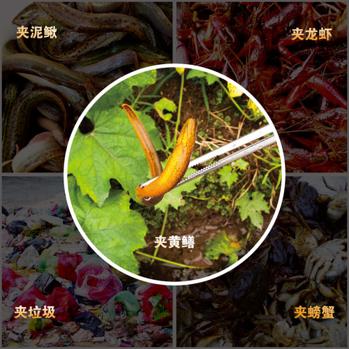 不锈钢黄鳝夹抓泥鳅钳子防滑实用赶海工具海鲜鳝鱼钳加长垃圾夹子