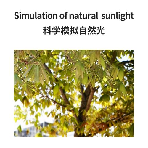 REPTIZOO爬虫UVA灯陆龟蜥蜴鬃狮促进进食爬宠加热灯保温太阳日灯
