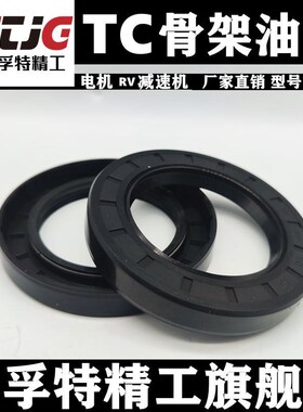 FB旋转轴进口料骨架油封TC250*255*280*285*290*300*15*16*18*20