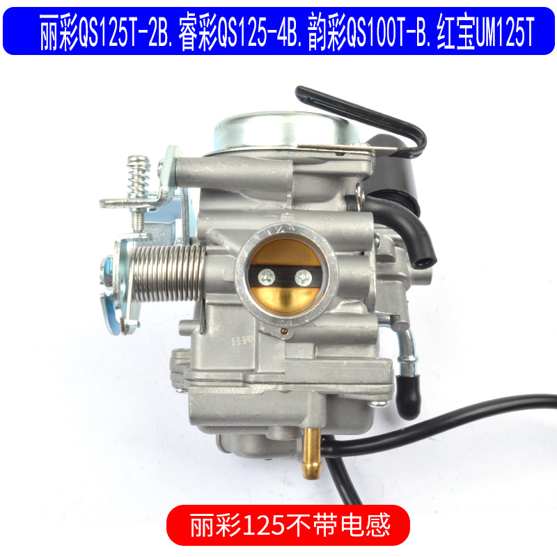 适用于铃木丽彩QS125T-4B睿彩韵彩QS100T-2B红宝UM125T原厂化油器
