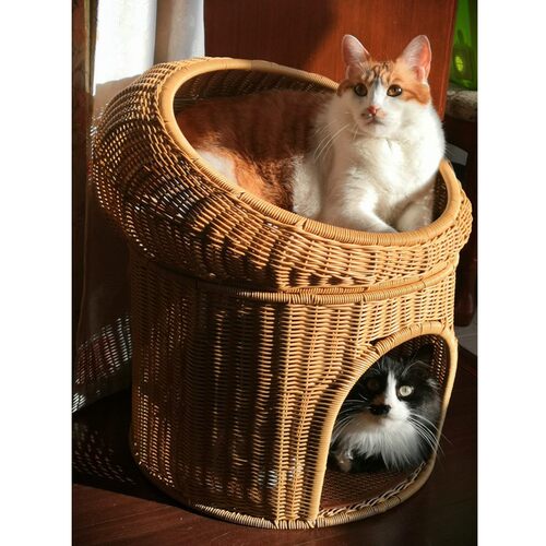 猫窝四季通用封闭式夏季双层猫床别墅猫房子狗窝猫爬架可拆洗藤编