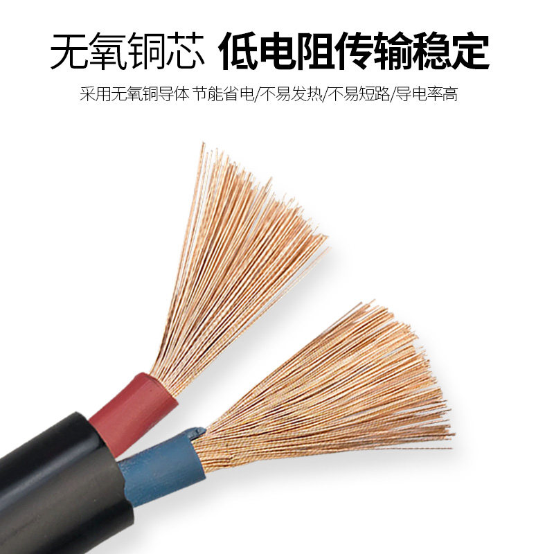 国标纯铜2芯足1.5/2.5/4/6平方电线电缆线户外防冻护套线电源软线
