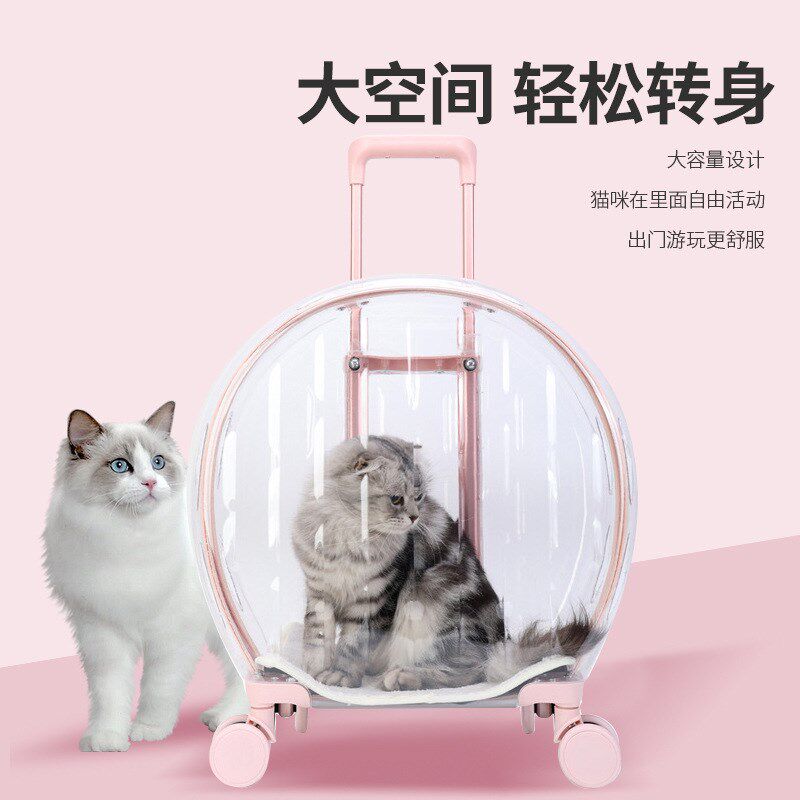 宠物拉杆箱便携透明行李箱猫包外出网红便携大容量手提宠物箱