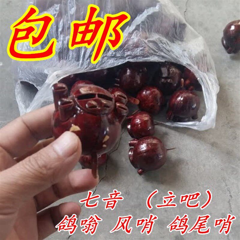 鸽子尾哨 风哨 竹哨 鸽子用品宠物用品 信鸽足环 鸽笼鸽子尾哨8音