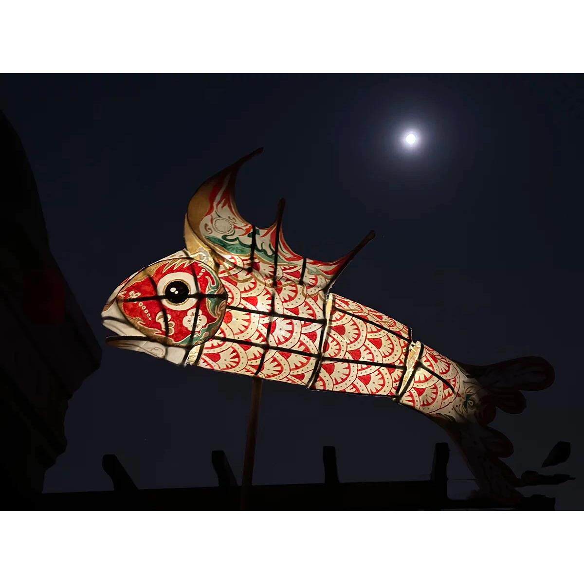 非遗竹篾鱼灯笼新年中秋国庆手工作业DIY材料包 手工鲤鱼灯海灯节