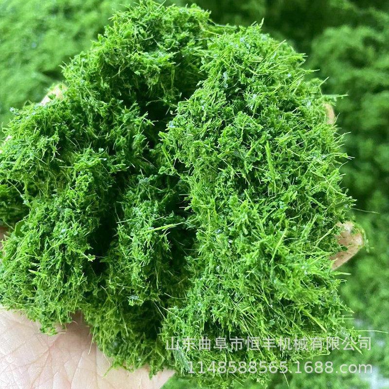 新鲜斑斓叶蛋白桑精细粉碎机发酵饲料加工设备蘑菇渣破碎机