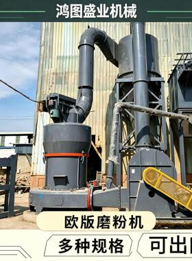 石英石大理石磨粉机设备价格 小型超细雷蒙磨粉机 雷蒙磨粉机厂家