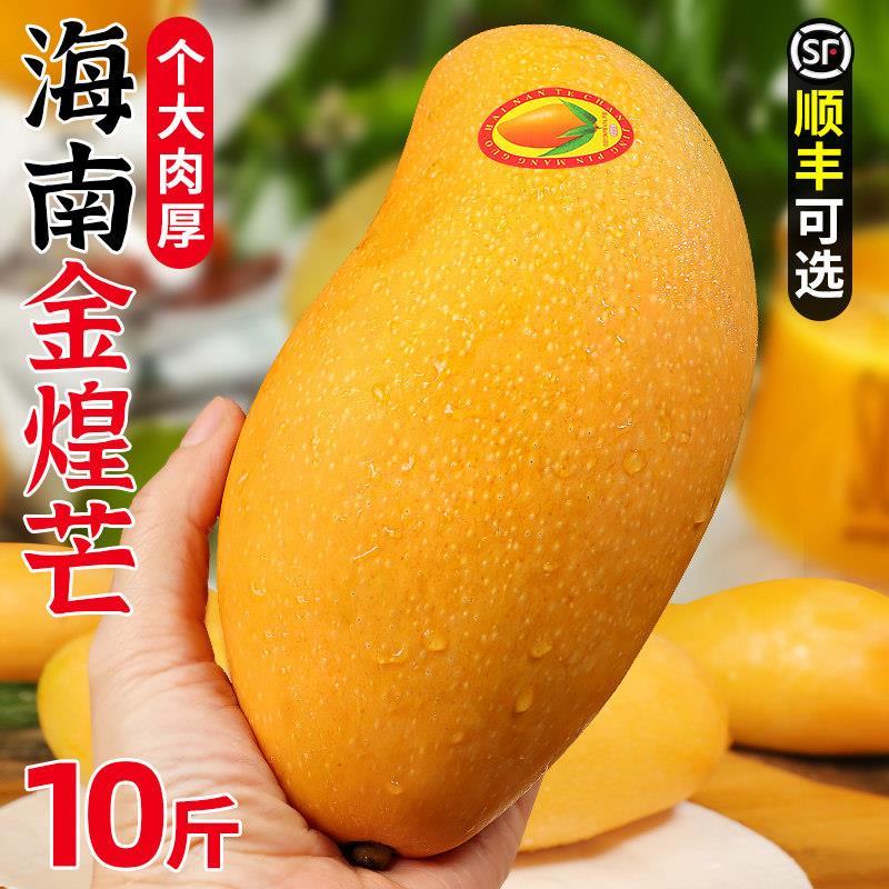 海南金煌芒10斤芒果一级大果新芒果