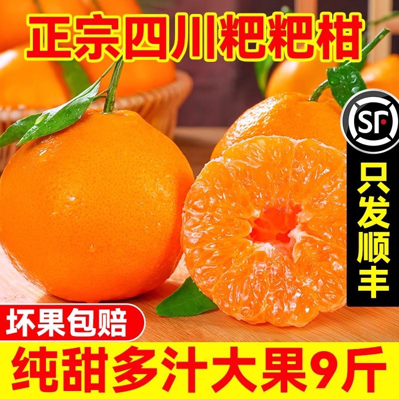 爆汁春见粑粑柑原箱9斤大果当季桔子