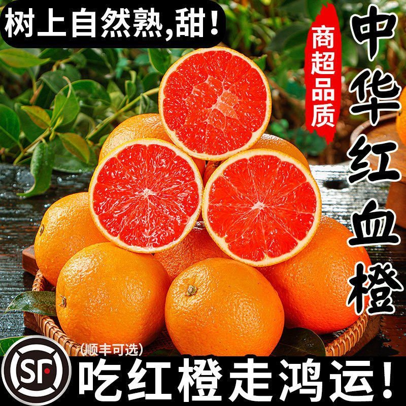 正宗血橙新鲜橙子水果当应季整箱中华红香甜冰糖红心肉雪官方果冻