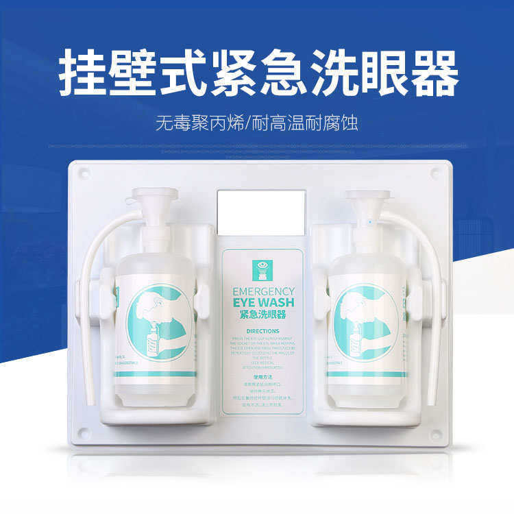 泰特紧急洗眼器2L手持冲洗赠壁挂配件TEW316瓶便携式标识牌洗眼站