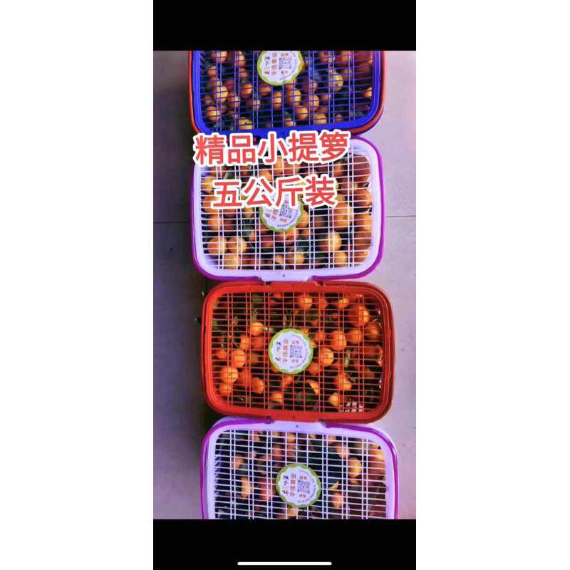 包邮1-14斤红色卡扣葡萄篮盖采摘杨梅鸡蛋带无花果篮草莓水果篮