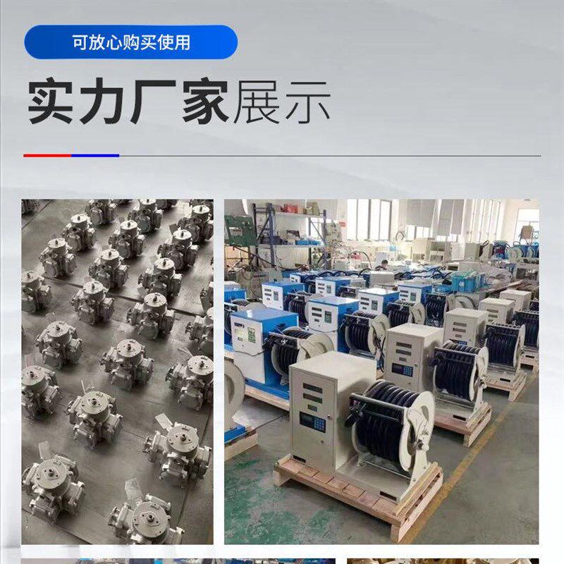 加油机大流量车载抽油泵电动计量泵齿轮泵12v柴油油枪220v设备24v