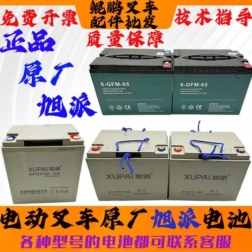 电动搬运车12V85A65A30A华富铅酸电池6-GFM-85旭派电瓶外置充电机