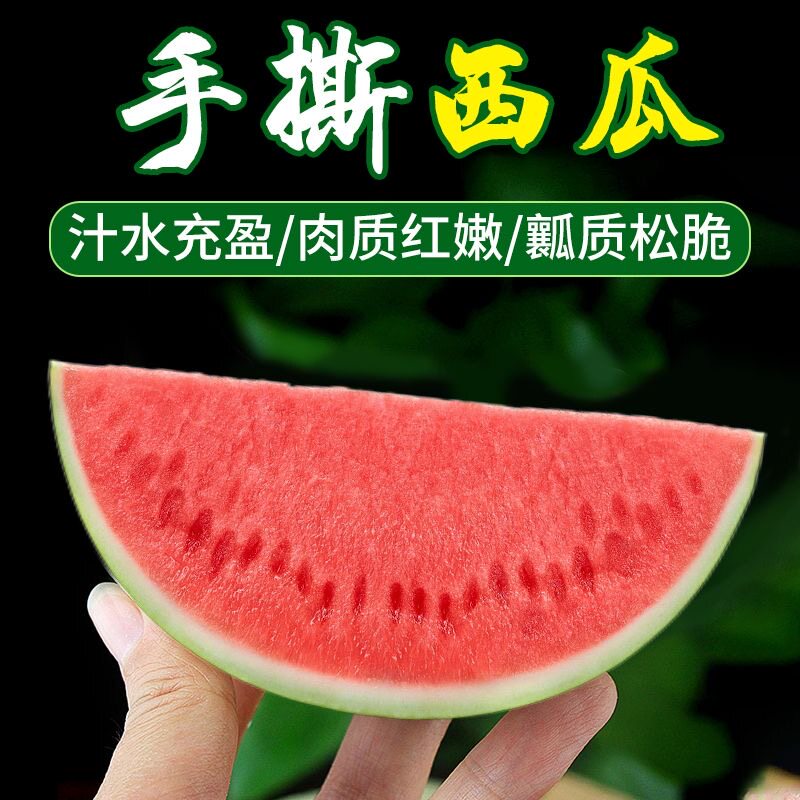 顺丰小糖丸西瓜2k新鲜水果皮薄脆甜当季整箱包邮手撕小西瓜旗舰店