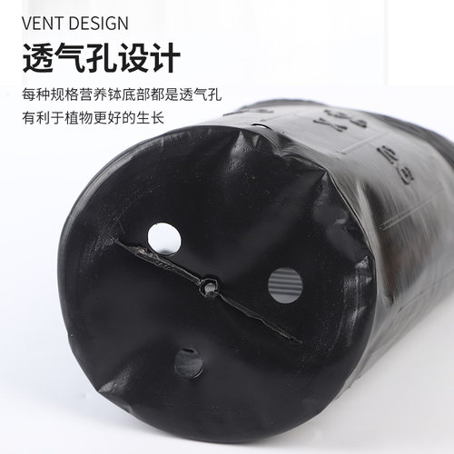 营养钵育苗盆营养杯育苗杯塑料育苗盘一次性加厚黑色营养袋育苗袋