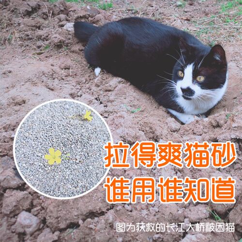 领养之家/猫砂拉得爽猫砂矿物砂高效结团19省包邮(10月初发货)