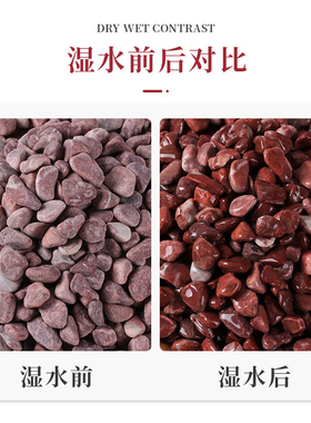 天然红色砾石鹅卵石洗米石水磨石地面专用枯山水造景铺路装饰石头