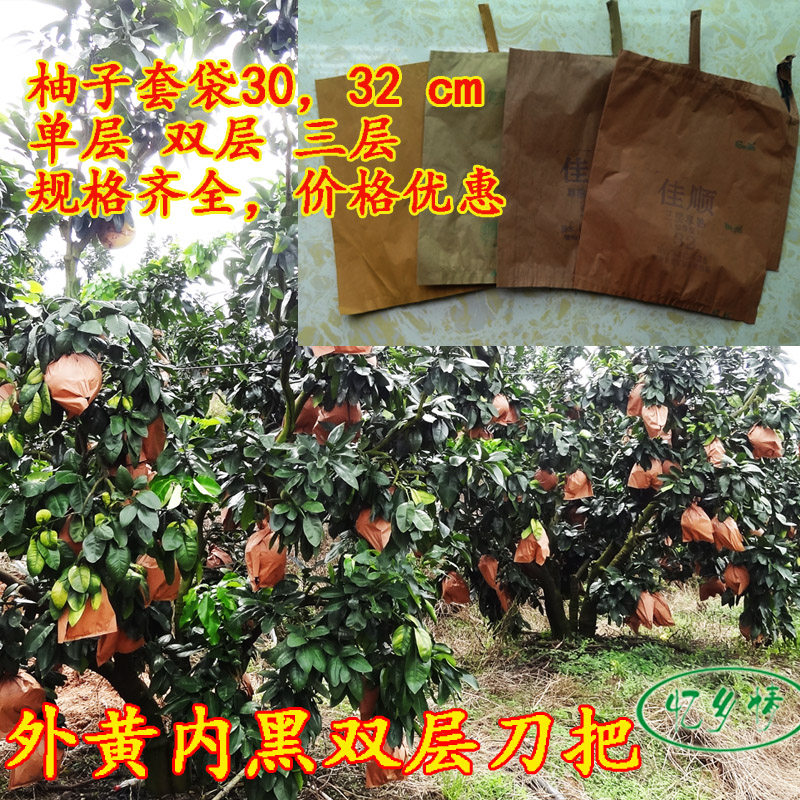 三红肉柚蜜柚套袋专用袋三红柚子水果套袋/果袋