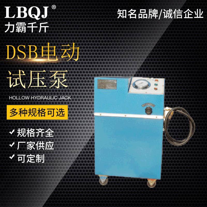 厂家供应DSB手提试压泵小型试压泵手提式电动试压泵