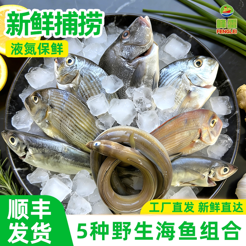 【百】峰雷【野生海捕】新鲜海杂鱼组合冷冻平鲷海鳗鱼批发深海鱼