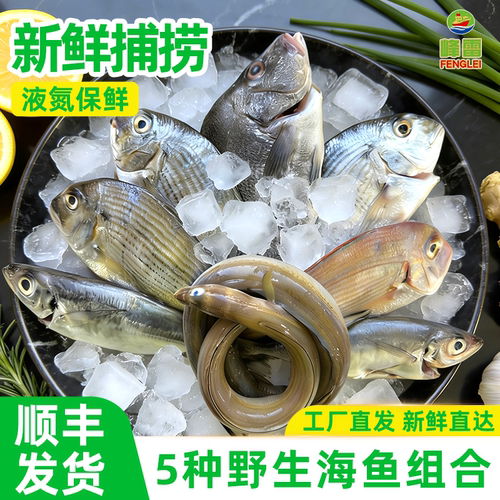 【百】峰雷【野生海捕】新鲜海杂鱼组合冷冻平鲷海鳗鱼批发深海鱼