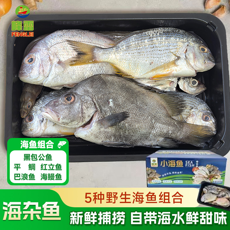 峰雷【野生海捕】新鲜海杂鱼组合批发深海鱼冷冻整箱平鲷海鳗鱼