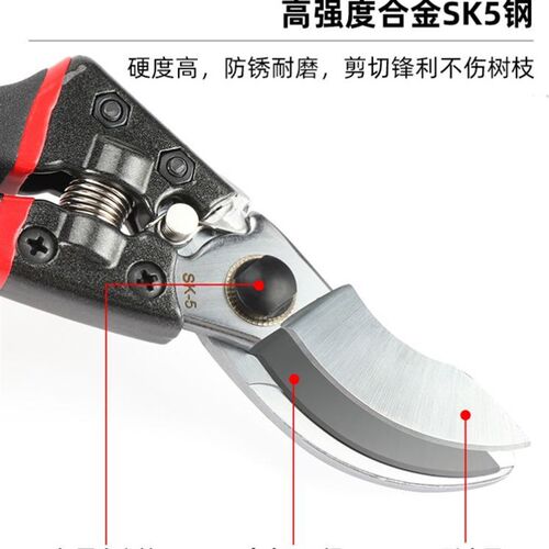 日本原装进口sk5修枝剪果树园艺专用家用修花剪刀粗枝省力剪枝