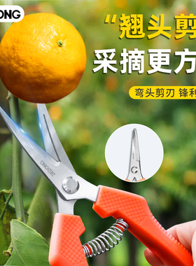 采果剪摘水果神器花剪园艺修花修枝剪稀果剪葡萄龙眼花椒采摘剪刀