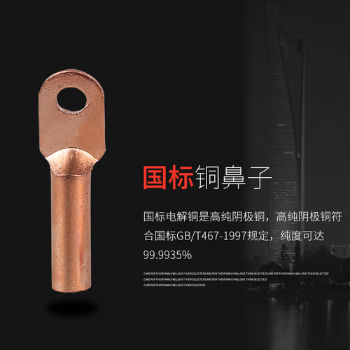 国标DT-6mm平方铜鼻子接线鼻铜接线端子铜电缆堵油铜接头紫铜