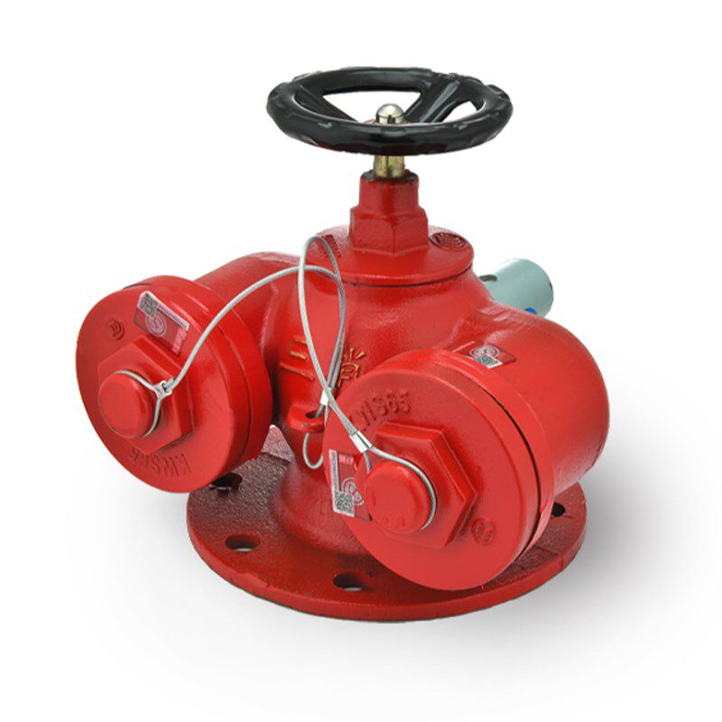 SQD100-1.6多功能水泵接合器 新型水泵结合器150消防水泵结合器