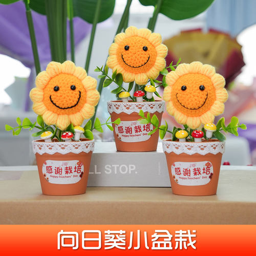 教师节送老师编织成品向日葵盆栽