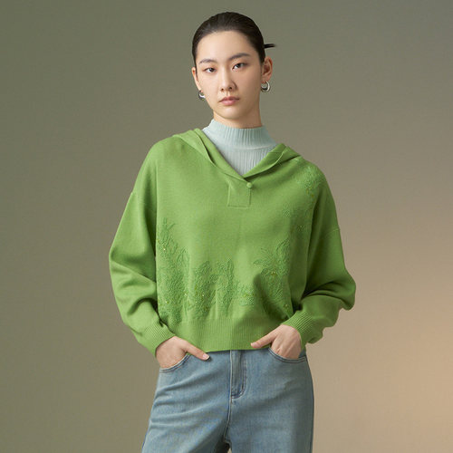 迪凯春季绒感羊毛连帽针织卫衣