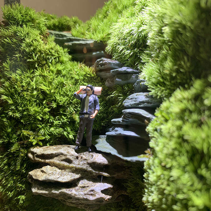 【悬崖秘境】苔藓养鱼生态摆件绿植物造景微植盆景瓶面办公桌景观