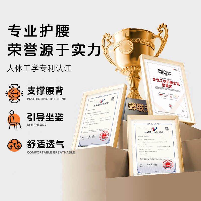 腰柯蓝人体工神学护腰坐垫护柏GW202614腰久坐器腰部支撑座椅靠垫