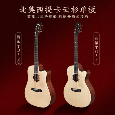 Tyma泰玛TG5/TD5c国风民谣单板吉他男女生初学者面单电箱40/41寸
