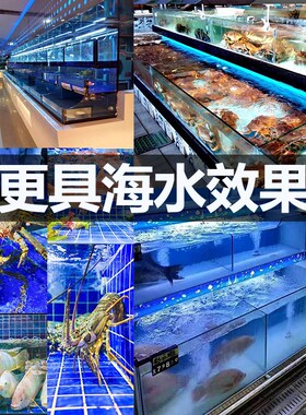 海鲜池鱼缸灯鱼池专用LED灯水产鱼虾蟹照明灯蓝色防水led灯220v