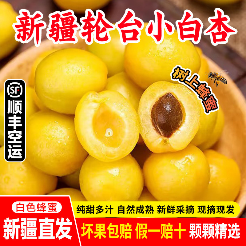 正宗新疆小白杏应当季新鲜水果轮台库车纯甜杏子红杏顺丰空运包邮