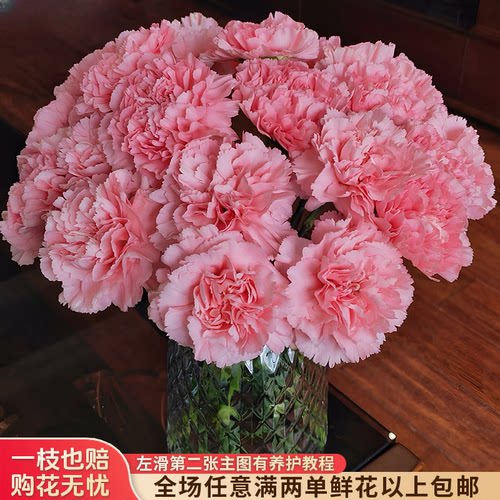 【与花同行】【粉钻】单头康乃馨20支 全场鲜花满两单及以上包邮