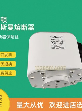 全新快速熔断器保险170M7676 170M7680 170M7681 170M7683