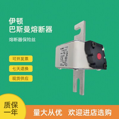 全新快速熔断器保险170M6760 170M6761 170M6762 170M6763