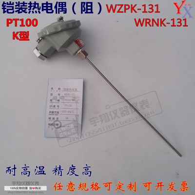 WRNK-131/WZPK-131热电阻K型铠装热电偶PT100温度传感器0-1100度