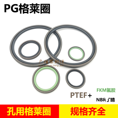 PG/GL格来圈油封孔用 PTFE 290 269/300 279/310 289/320 299 8.1