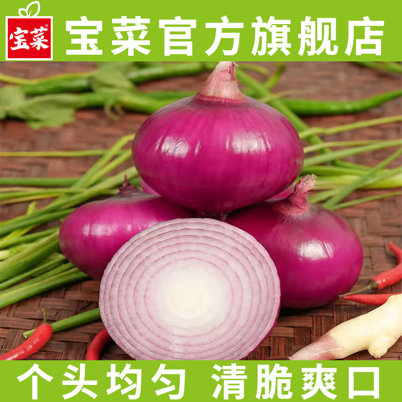 佳农宝菜水果洋葱脆甜生吃
