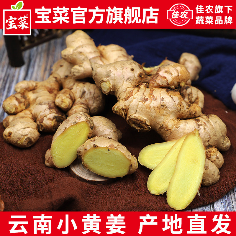佳农宝菜云南曲靖现挖小黄姜