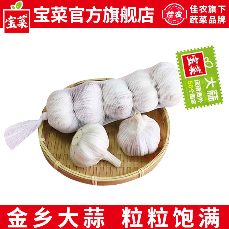 佳农宝菜大蒜头今年新鲜山东金乡产地直发5分果厨房餐饮腊八蒜用