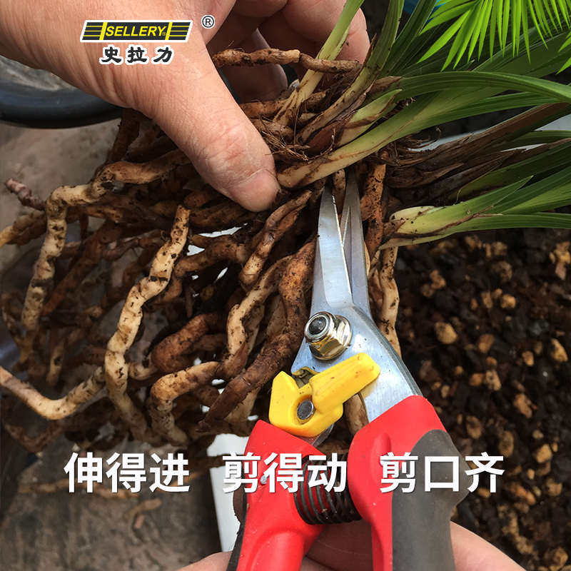 进口尖嘴弹簧修枝剪刀果树插花造型专用工具苗园艺兰花修剪分盆景