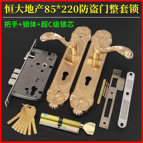 恒大华府防盗门整套锁 替换GAOLI入户大门把手220mm 8560双孔锁体