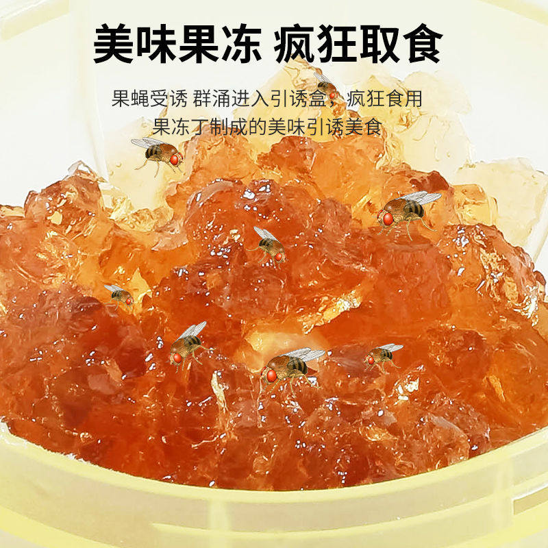 【下单立减50】杀蝇饵剂强效苍蝇药捕小飞虫厨房室内去果蝇_WH